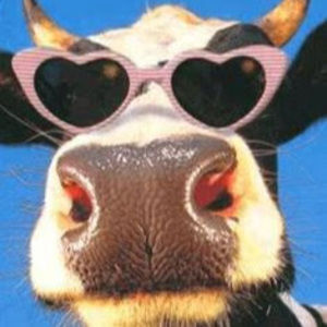 Meet your Posher, Caitlyn